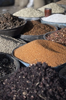 Images Dated 9th January 2000: Various grains