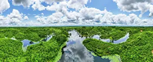Plants Prints: Vast green landscape of the Sreemangal tea region in Bangladesh showcasing lakes and hills under a blue sky