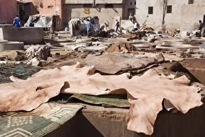 Vats and leather hides in an old Tannery owned by cooperative of families in the Medina