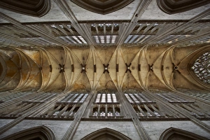 Vaulted Ceiling Prints: The vaulted ceiling of Vendome Abbey, Loire-et-Cher, Centre, France, Europe