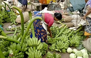 Images Dated 6th January 2009: Vegetable market, Chalai, Trivandrum, Kerala, India, Asia