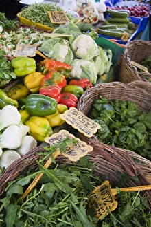 Herbs Prints: Vegetables, Campo de Fiori market, Rome, Lazio, Italy, Europe