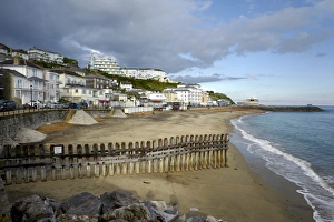 Fence Prints: Ventnor beach, Isle of Wight, England, United Kingdom, Europe