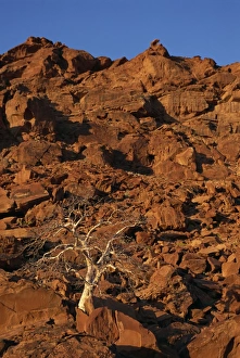 Twyfelfontein Prints: Verbrandeberge (Burnt Mountain)