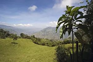 Ecuadorian Prints: The verdant slopes of the active Tungurahua Volcano that threatens the nearby town of Banos