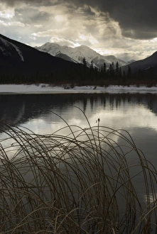 Images Dated 23rd February 2008: Vermilion Lakes, Banff National Park, UNESCO World Heritage Site, Rocky Mountains