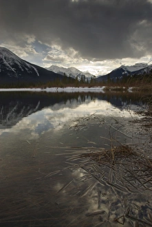 Images Dated 23rd February 2008: Vermilion Lakes, Banff National Park, UNESCO World Heritage Site, Alberta