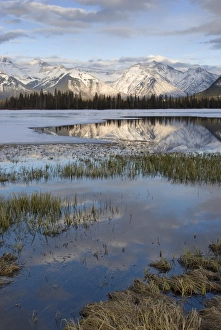 Images Dated 23rd February 2008: Vermilion Lakes, Banff National Park, UNESCO World Heritage Site, Rocky Mountains