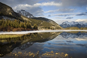 Images Dated 23rd February 2008: Vermilion Lakes, Banff National Park, UNESCO World Heritage Site, Rocky Mountains