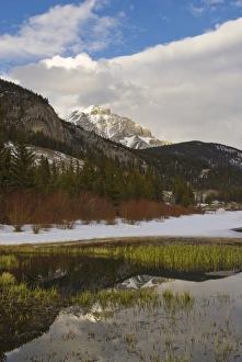 Images Dated 23rd February 2008: Vermilion Lakes, Banff National Park, UNESCO World Heritage Site, Rocky Mountains