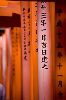 Images Dated 1st November 2008: Vermillion Torii Gates, Fushimi-Inari Taisha, Kyoto, Japan, Asia