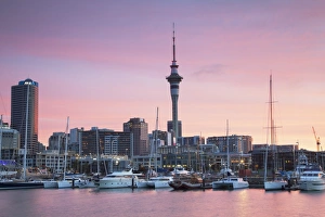 Viaduct Harbour and Sky Tower at sunset, Auckland, North Island, New Zealand, Pacific