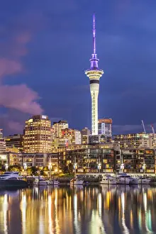 North Island Prints: Viaduct Harbour waterfront area and Auckland Marina at night, Auckland skyline, Sky Tower