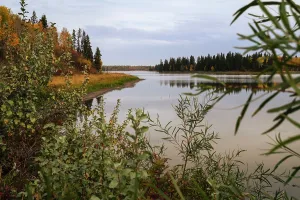 Ecosystems Prints: Vibrant autumn colors in the forest around Astotin Lake create a beautiful landscape in Elk Island National Park