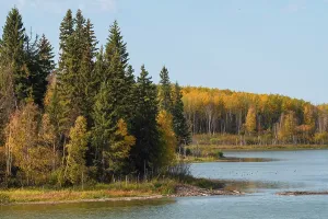 Riverside Prints: Vibrant autumn colors in the forests by Astotin Lake in Elk Island National Park