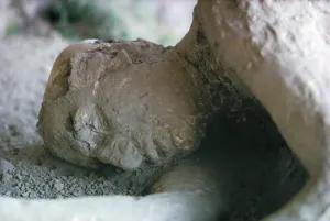 Exhibition Prints: Victim of Vesuvius eruption