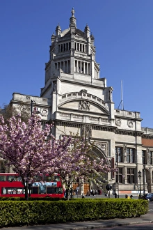 Kensington Prints: Victoria and Albert Museum with cherry blossom trees