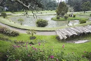 Images Dated 28th December 2009: Victoria Park, Nuwara Eliya, Sri Lanka, Asia