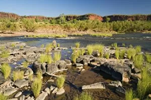Victoria River, Northern Territory, Australia, Pacific