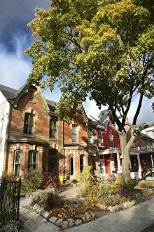 Images Dated 28th October 2008: Victorian houses in the fall, Toronto, Ontario, Canada, North America