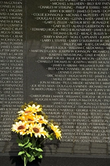 Images Dated 5th January 2000: Vietnam Veterans Memorial Wall, Washington D