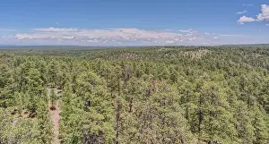Vast Prints: View from the 80 foot tall historic Fire Watchtower at Jacob Lake, Arizona, USA