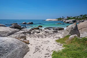 Flock Of Birds Prints: View of African penguins on Boulders Beach