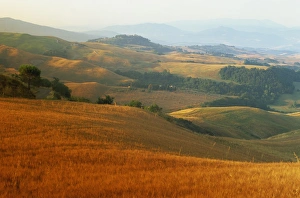 Volterra Prints: View across agricultural landscape at sunrise, Volterra, Tuscany, Italy, Europe