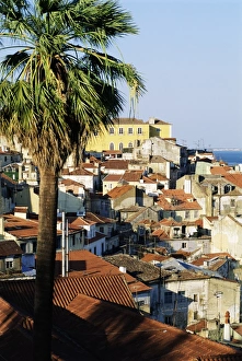 Tagus River Prints: View of Alfama district and the Tagus River