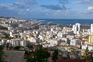 Algeria Prints: View over Algiers, Algeria, North Africa, Africa