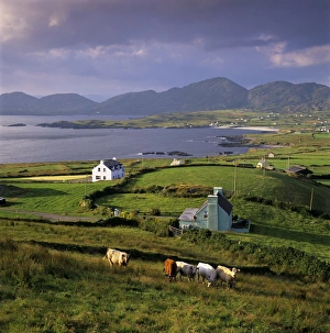 Cork Prints: View over Allihies and Ballydonegan Bay