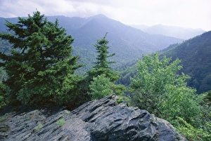 World Heritage Prints: View from the Alum Cave Bluffs trail in Great Smoky
