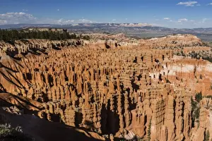Amphitheatre Prints: View of The Amphitheater from the Navajo Loop Trail in Bryce Canyon National Park