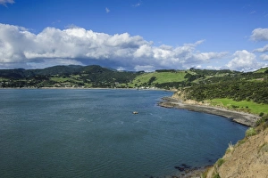 Northland Prints: View of the Arai-Te-Uru Recreation Reserve