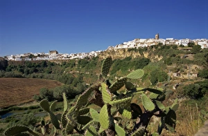 Cacti Prints: View of Arcos de la Frontera, Andalucia, Spain, Europe