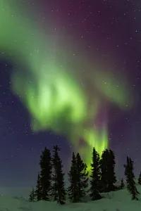Time Prints: View of aurora borealis lighting up the boreal forest at Great Slave Lake during the night in Canada