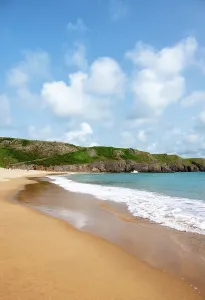 Pembrokeshire Prints: View of Barafundle Bay showing sandy beach and gentle waves on a clear day in Pembrokeshire