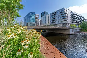 Public Space Prints: View of the Barcode buildings and flowers on a sunny day