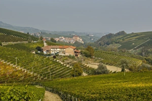 Viniculture Prints: View over Barolo village and vineyards, Langhe, Cuneo district, Piedmont, Italy, Europe