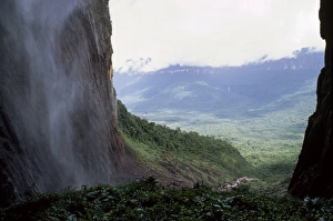 Falls Prints: View from base of Angel Falls, Churun Gorge, Auyantepui (Devils Mountain)
