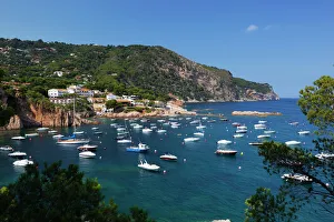 Costa Brava Prints: View over bay, Aiguablava, near Begur