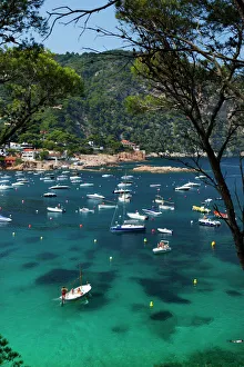 Costa Brava Prints: View over bay, Aiguablava, near Begur