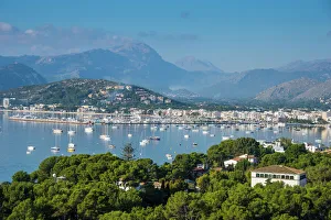 View over the bay of Port de Pollenca with many sailing boats, Mallorca, Balearic Islands, Spain, Mediterranean, Europe
