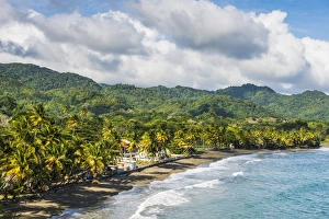 Tobago Prints: View over the beach of Roxborough