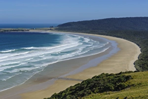 Curved Prints: View over the beautiful Tautuku Bay, The Catlins, South Island, New Zealand, Pacific