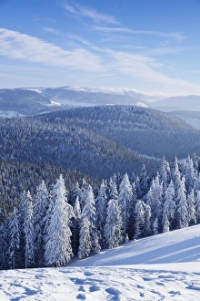 Black Forest Prints: View from Belchen Mountain to Feldberg Mountain in winter, Black Forest, Baden-Wurttemberg