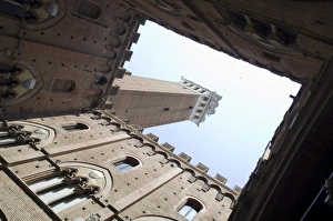 Mangia Tower Prints: View of the bell tower of the Palazzo Pubblico