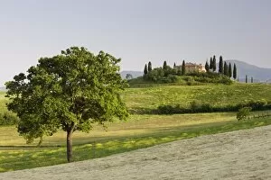 Images Dated 13th May 2009: View of Belvedere from Val d Orcia, San Quirico d Orcia, near Pienza