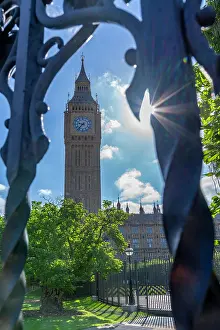 Parliament Prints: View of Big Ben clock tower with sunlight shining through trees in summer at Parliament Square