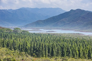 New Caledonia Prints: View over the Blue River Provincial Park, Yate, New Caledonia, Pacific